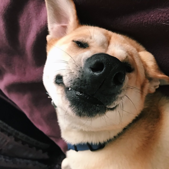 Meet your Posher, Colleen - Picture 4 of 5